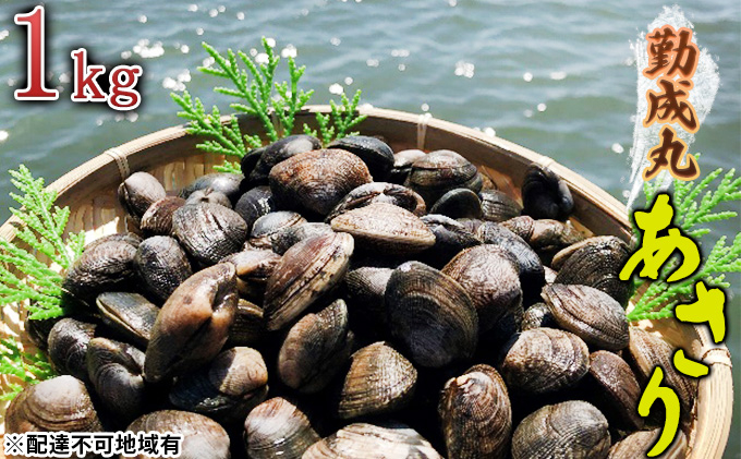 
            [№5258-0796]【2026年1月より順次出荷予定勤成丸のあさり 1.0kg 魚貝類 海の幸 酒蒸し アサリご飯 パスタ 料理 食材 みそ汁の具 冷蔵便 食べ物 食品
          
