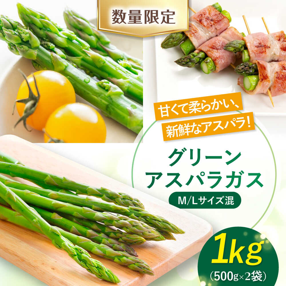 【ふるさと納税】【2026年5月中旬以降順次発送】北海道産 アスパラ 1kg M/L混サイズ 《喜茂別町》【ニセコビュープラザ直売会協同組合】 先行予約 アスパラガス グリーンアスパラ 冷蔵 野菜 春野菜 季節の野菜 [AJAH018] 11000 11000円