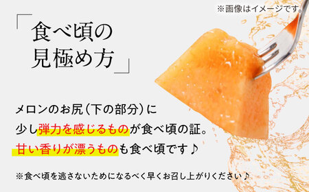 訳あり タカミメロン レッド 2箱 / メロン めろん フルーツ 果物 / 南島原市 / 南島原果物屋[SCV037]