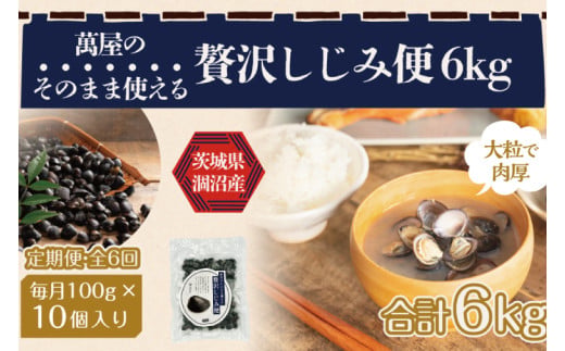 【6ヶ月定期便】涸沼産 冷凍しじみ 中粒１kg（100g×10p）【シジミ 中粒しじみ 産地直送 砂抜き済み 砂抜き 小分け包装 味噌汁 みそ汁 水戸市 茨城県】（CA-7）