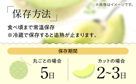 【2025年5月～発送】【さわやかな味わい!】訳あり タカミメロン 約4.5kg（傷もの）/ メロン めろん フルーツ 果物 / 南島原市 / 南島原果物屋[SCV025]