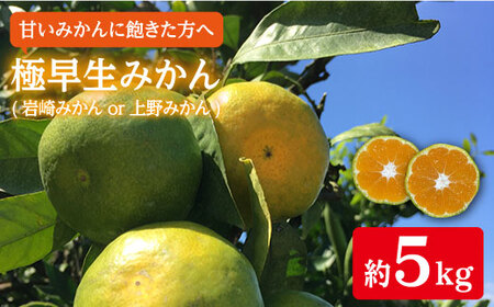  極早生みかん 約5kg  ＜Da・IWASAKI FARM＞ [CCZ001] みかん ミカン みかん みかん ミカン みかん
