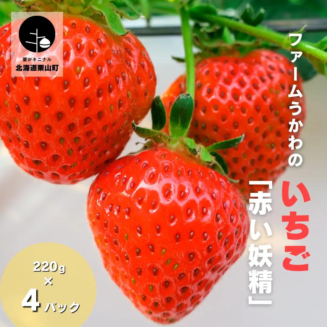 もぎたて！ファームうかわのいちご「赤い妖精」4パック