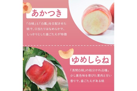 桃／フルーツ【先行予約／数量限定100】京都丹後産 桃 約2kg（6～8玉）（2025年7月中旬～発送）＜旬のおすすめ品種をお届け＞旬の桃・桃ギフト・もも・モモ・果物