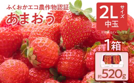 ふくおかエコ農作物認証あまおう 2Lサイズ 1箱セット あまおう イチゴ 苺 いちご フルーツ 果物 くだもの 福岡県産 お取り寄せグルメ お取り寄せ 福岡 お土産 九州 福岡土産 取り寄せ グルメ 福岡県