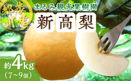 先行予約≪期間限定≫まるみ観光果樹園の『新高梨』(約4kg) なし 果物 フルーツ 天然 ミネラル栽培_T036-002