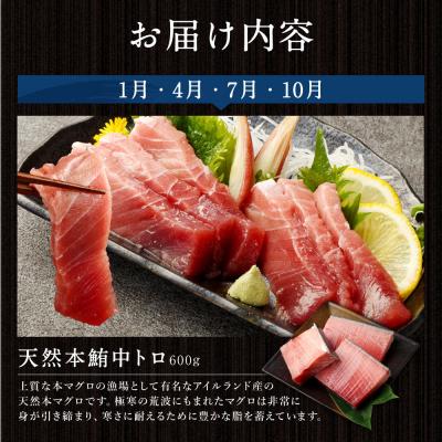 ふるさと納税 室戸市 海からの贈り物!マグロとカツオの定期便【3回お届け】 |  | 01