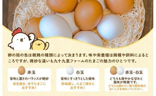 【定期便10回】九十九里ファームこだわりたまご贈答用 40個 ～あおい海・みどりの里～《白玉》 たまご 卵 玉子 タマゴ 白玉 卵かけご飯 新鮮 旨み 甘み 贈答用 贈答 ギフト 贈り物 千葉県 匝瑳