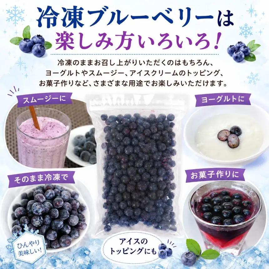 冷凍ブルーベリー 500g | 冷凍便 フルーツ 果物 くだもの ベリー 低農薬 健康 産地直送 健康 おやつ 美容 完熟 こだわり | 奈良県 五條市