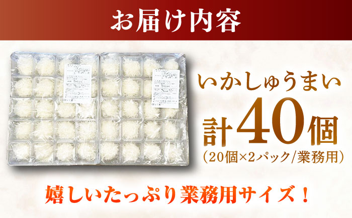 【お中元対象】いかしゅうまい20個×2パック業務用/いか イカ しゅうまい シュウマイ 大容量 / 佐賀県 [41AECT003]
