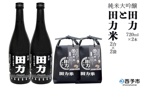 ＜純米大吟醸 田力（750ml×2本）と田力米（2合×2袋）セット＞※1か月以内に順次出荷します。日本酒 お米 酒米 松山三井 にこまる ゆうだい21 特産品 晩酌 お祝い 内祝い 家飲み 宅飲み 中辛口 元見屋酒店 愛媛県 西予市【冷蔵】 UMS0004