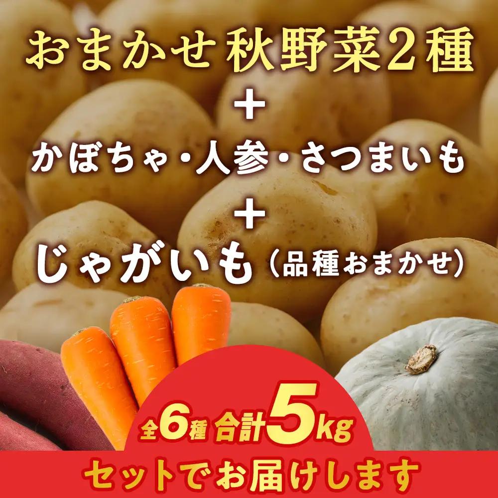 【2026年10月上旬以降順次発送】秋野菜 詰め合わせ 6種 計5kg　サツマイモ かぼちゃ じゃがいも にんじん 他おたのしみ