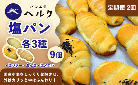 【2回定期便】塩パン全種食べ比べ 9個セット / 塩パン あん塩 メロンパン 食べ比べ 惣菜パン パンセット 冷凍パン 朝食 おやつ ぱん 菓子パン ベーカリー / 稲沢市 / パン工房ベルク[BMA