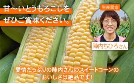 【先行予約】農家直送！こだわりスイートコーン 約3kg（8～12本程度）【玉葱農家 陣内ちひろ】[IAO014]