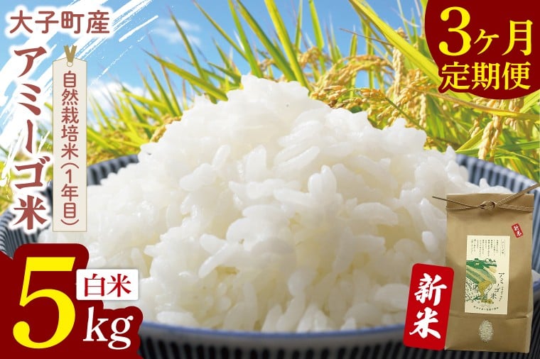 
            【限定価格】【3ヶ月定期便】令和7年産 新米 5kg アミーゴ米 【白米】（コシヒカリ・天日干し米・自然栽培米 （1年目））｜茨城県 大子町 袋田 米 精米 おだがけ米 はざがけ米 いねかけ米 先行予約 定期 毎月 3回 連続 農福連携 (CA018)
          