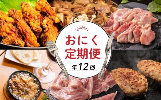【ふるさと納税】 肉 12回 定期便 高知 土佐ジロー 人気 ハンバーグ からあげ アヒージョ 鍋 冷凍 惣菜 冷凍食品 手軽 便利 肉 鶏肉 肉定期便 時短 父の日 冷凍 お試し 個包装 小分け 高知県 安芸市