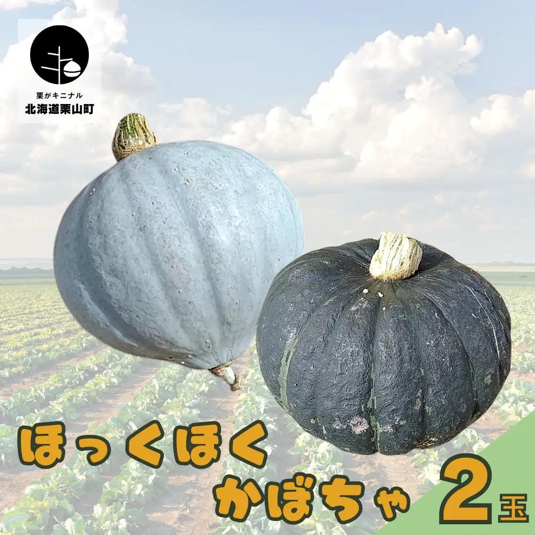 北海道栗山町産 ほっくほくかぼちゃ 2玉