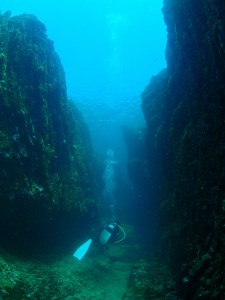 絶景竜串海中公園！ファンダイビング３ボート体験券(Cカード所有者1名用)【R01525】