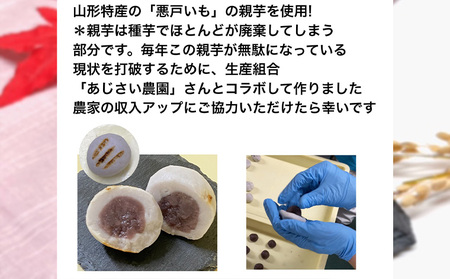 SDGs 悪戸いもの親芋使用！「亥のこ餅」10個 FY23-754