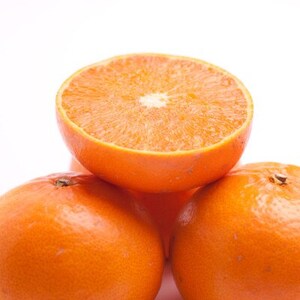 厳選 せとか1kg+250g(傷み補償分)【柑橘・春みかんの王様】【光センサー選果・食べ頃出荷】【配送不可地域：離島・北海道・沖縄県】【1649454】