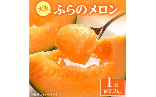 【2027年発送先行受付】ふらのメロン赤肉　2.2kg×1玉　厳選 大玉【1788605】
