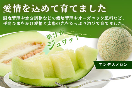 【2027年4月中旬～発送 先行予約】アンデスメロン 4玉〜6玉（約5kg）多良木町 熊本県 メロン フルーツ 果物 期間限定 数量限定
