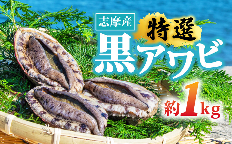 
志摩産 黒アワビ 1㎏ / 天然 アワビ 鮑 あわび 海鮮 魚介 新鮮 国産 冷蔵 旬 貝 活 刺身 刺し身 お刺身 期間限定 産地直送 バーベキュー BBQ 伊勢 志摩 三重県
