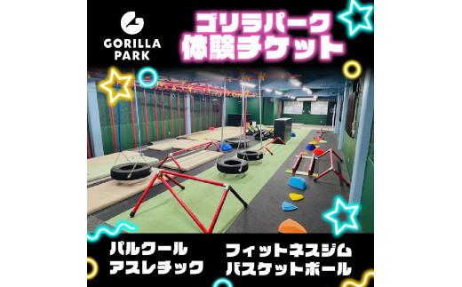 ゴリラパーク 体験チケット 一般 大阪府 松原市 パルクール アスレチック トレーニングジム バスケットボール ファミリー アクティビティ ダイエット 健康 スポーツ バスケ ボール トレーニング フ