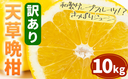 【2027年先行予約】訳あり 天草晩柑 約10㎏ フルーツ 果物 くだもの 柑橘 晩柑 みかん ミカン 蜜柑 熊本県 苓北町 天草《2027年3月上旬-5月下旬頃出荷予定》