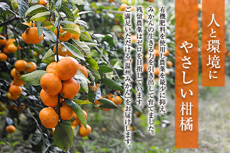 訳あり 温州みかん 計5kg以上 傷み補償分付き 期間限定 数量限定 フルーツ 果物 くだもの ミカン 柑橘 オレンジ 人気 国産 食品 デザート おやつ おすすめ 産地直送 ご家庭用 おすそ分け 特