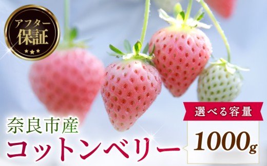 【数量限定】 2027年 3~4月発送 苺 いちご コットンベリー 4パック 約1000g (約250g×4P) ゆりかーご 冷蔵 小分け 果物 スイーツ デザート くだもの フルーツ ベリー ふるさと納税 いちご 大粒 採れたて 完熟 おやつ 産地直送 先行予約 数量限定 季節限定 ブランド イチゴ 中村農園 奈良県 奈良市