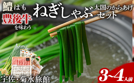 ねぎしゃぶ＋太閤からあげ(7品)ねぎしゃぶ しゃぶしゃぶ おおいた和牛 鱧 はも 鍋 お鍋 唐揚げ からあげ セット【101500502】【菊水旅館】