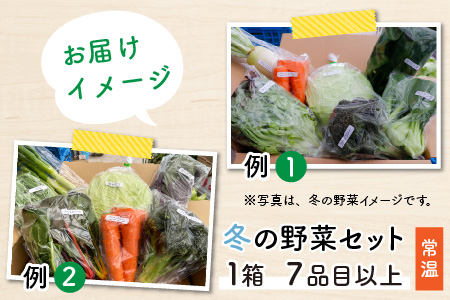 【先行予約】農家直送 冬野菜セット 1箱 7品目以上 《元気に育った新鮮野菜！》／ 季節 冬 野菜 ボックス BOX セット セレクト 農家 おまかせ 多品目 旬 詰め合わせ ※2024年12月上旬以