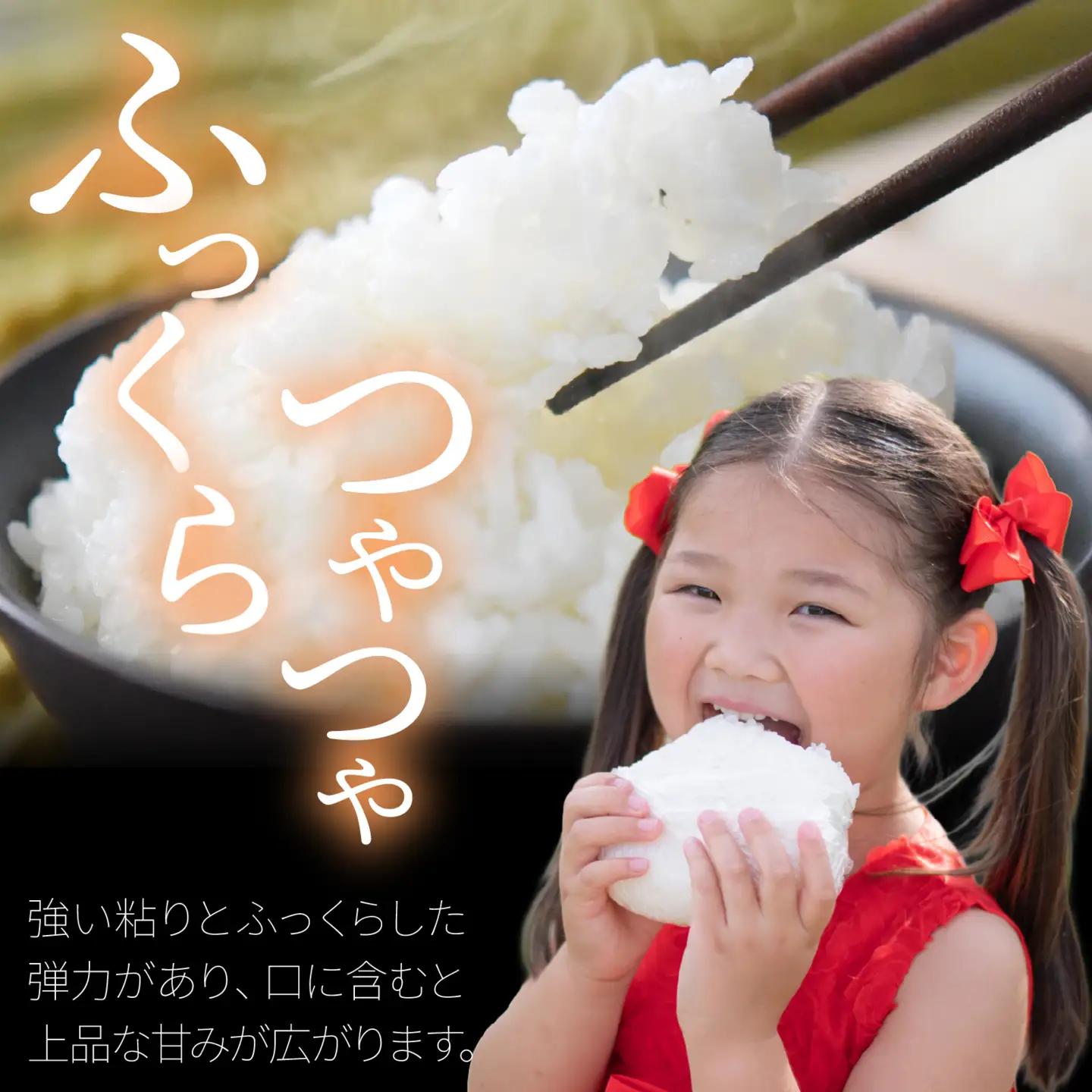 【令和7年産】にじのきらめき  白米 10kg  | お米 お米