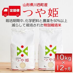 【毎月定期便】山形県産　つや姫　精米　10kg全12回【4059361】