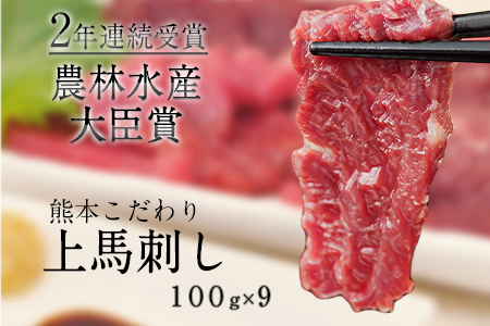 馬刺し 上赤身 ブロック 国産 熊本肥育 冷凍 生食用 たれ付き(10ml×9袋) 100g×9セット 肉 期間限定 絶品 牛肉よりヘルシー 馬肉 予約 平成27年28年 農林水産大臣賞受賞 熊本県長洲町《7月中旬-9月末頃出荷》