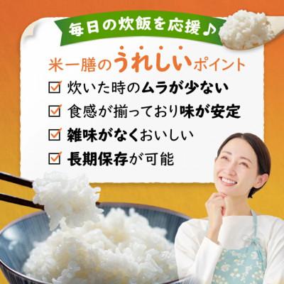 ふるさと納税 宮崎市 国産ブレンド米 「米一膳」10kg(5kg×2袋) |  | 01
