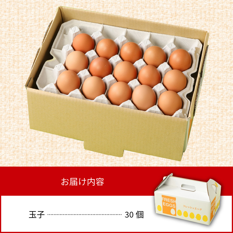 延岡産もみじ玉子30個 N033-YA0140_イメージ5