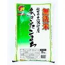 【ふるさと納税】【2ヵ月毎定期便】〈隔月発送〉あきたこまち無洗精米5kg全2回【配送不可地域：離島・沖縄県】【4009337】