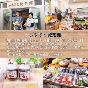 いろどり野菜セット