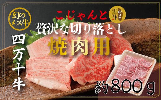 26-019．幻のメス牛　四万十牛こじゃんと贅沢な切り落とし（焼肉用・800ｇ）