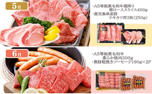 定期便(1年で10回配送)枕崎お楽しみ便(A5等級黒毛和牛・黒豚・黒豚加工品etc)II-6002【1166753】_ ふるさと納税 定期便 牛肉 豚肉 霜降り 焼肉 しゃぶしゃぶ 生姜焼き ステーキ