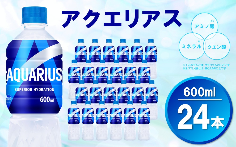 アクエリアス 600mlPET×24本(1ケース)【コカコーラ 熱中症対策 スポーツ飲料 スポーツドリンク 水分補給 カロリーオフ ペットボトル 健康 スッキリ ミネラル アミノ酸 クエン酸 リフレッシュ 常備 保存 買い置き】K090130