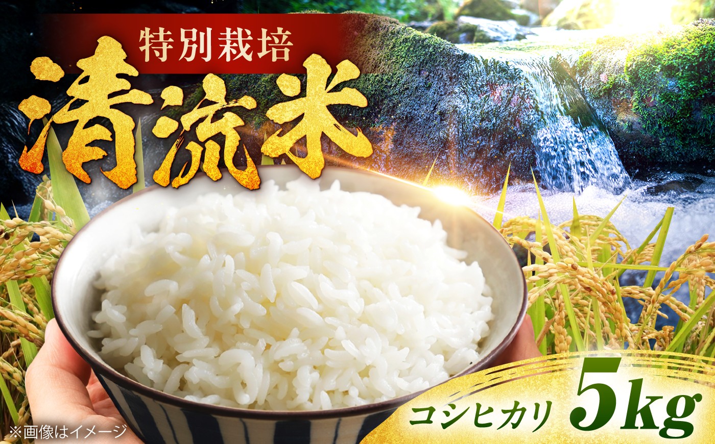 
                  〈令和7年産米〉栗東産 特別栽培米 こんぜ清流米 コシヒカリ(白米) 5kg お米 栗東市/レーク滋賀農業協同組合[BIBV008] 米 お米 白米 米 精米 白米 はくまい こめ こしひかり 米5kg 精米 ブランド米 国産 栗東産 滋賀県産 滋賀県 栗東市
                