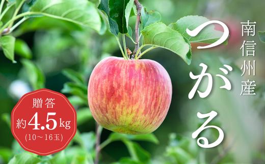 KR03-25A りんご つがる 贈答 約4.5kg（10～16玉） / 8月下旬頃～配送予定 // 長野県 南信州 松川町産 ギフト リンゴ 林檎 早生りんご 農家直送 農家支援 産地直送 約5kg