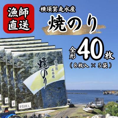 ふるさと納税 横須賀市 【訳あり】海苔5袋(全形40枚) 漁師直送 上等級 焼き海苔 のり