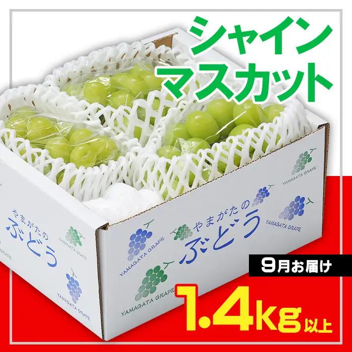 ☆フルーツ王国山形☆ シャインマスカット 秀品 1.4kg以上(2～4房)[9月お届け] 【令和8年産先行予約】FS23-732 くだもの 果物 フルーツ 山形 山形県 山形市 2026年産