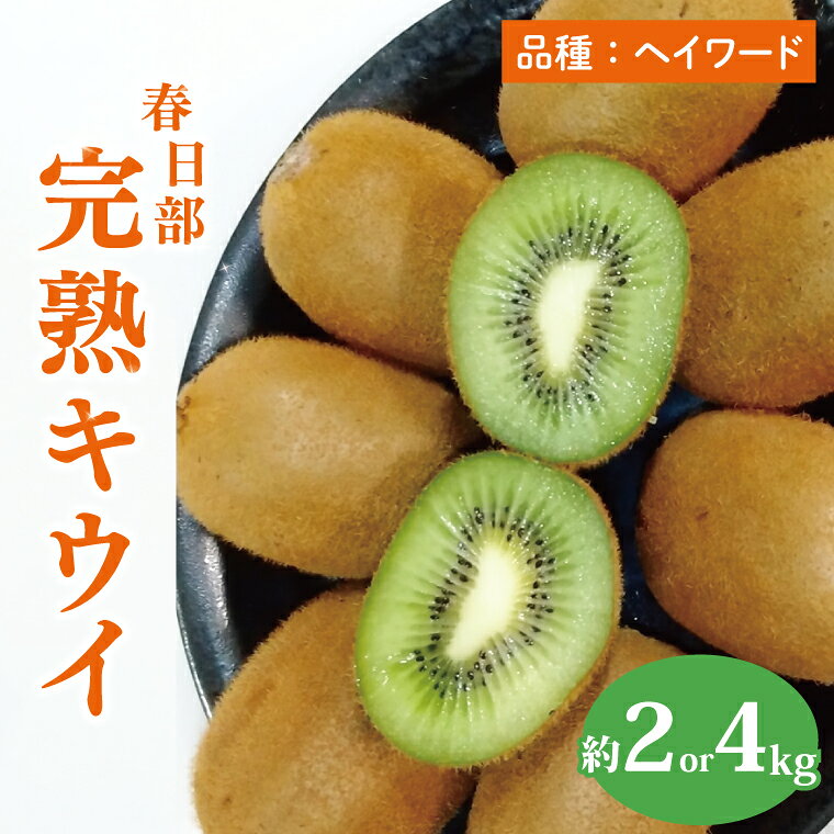 【ふるさと納税】【先行予約】【12月上旬より発送開始】春日部完熟キウイ4kg【埼玉県 春日部市 キウイ キウイフルーツ 4kg 完熟 国産 フルーツ 果物 ヘイワード】(BG002/BG004）