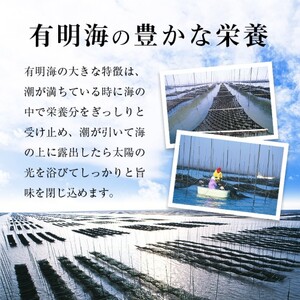 訳あり 海苔 福岡有明海産 焼き海苔 合計104枚 2切 8枚×13袋 有明 のり 焼海苔 訳アリ 乾燥 海藻 小分け ごはんのお供