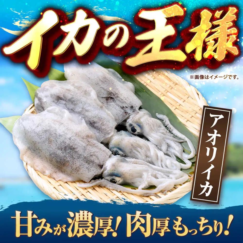 アオリイカ（刺身用） 500g [JCC023] イカ